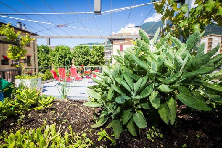 B&B Panemiele Sondrio Esterno foto